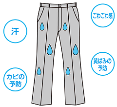 イメージ・バイオクリーニング